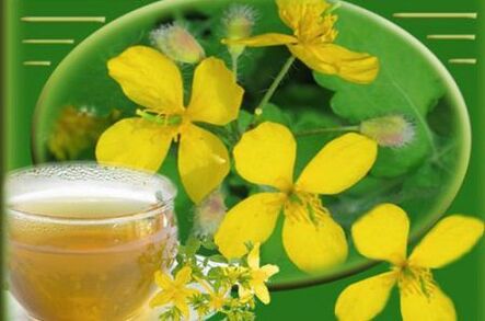 Abkochung von Schöllkrautkraut gegen Pilze